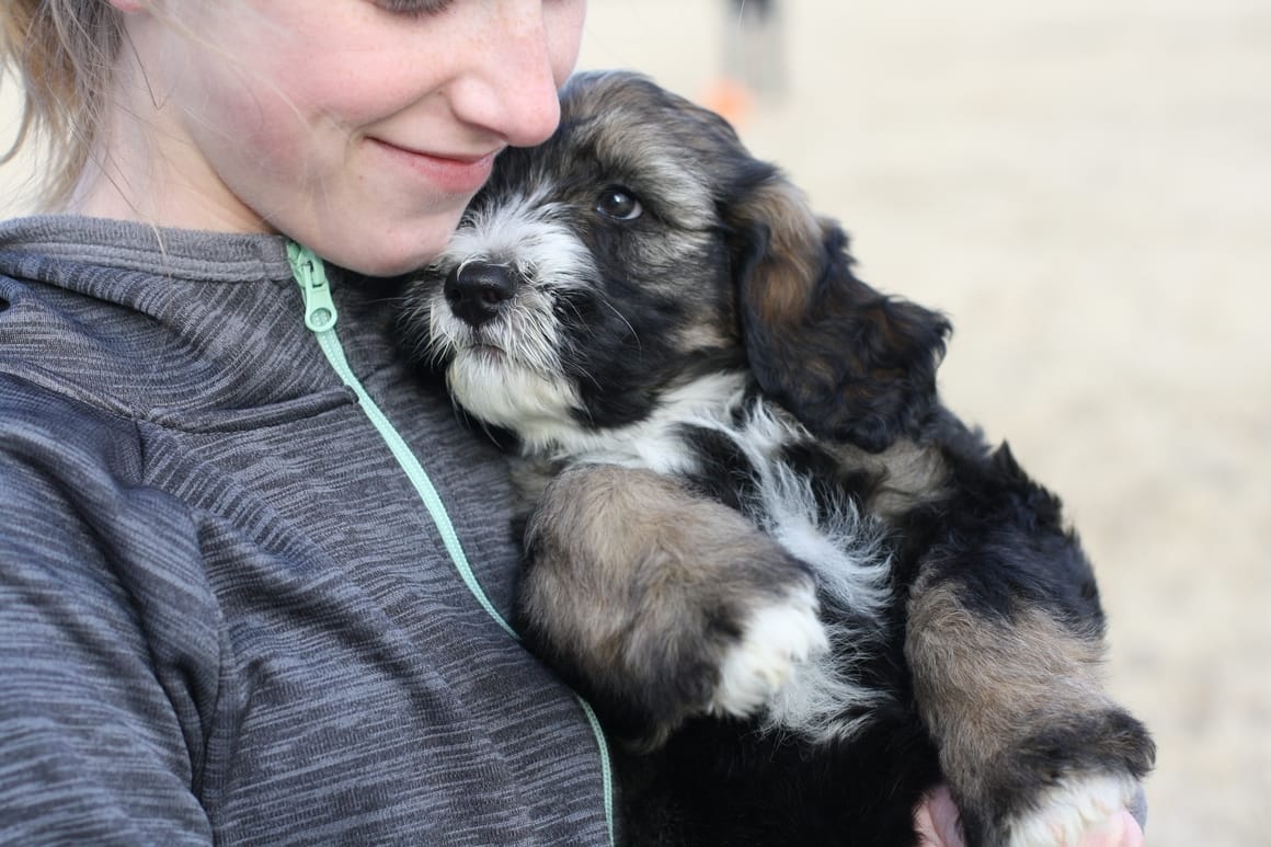 girl holding a puppy in her arms. Best way to crate train your dog